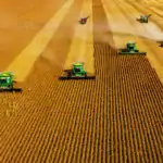 AI powered Precision Agriculture and Farm Management 1